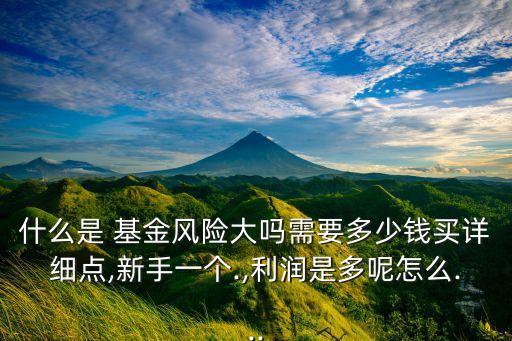 什么是 基金風(fēng)險(xiǎn)大嗎需要多少錢買詳細(xì)點(diǎn),新手一個(gè).,利潤(rùn)是多呢怎么...