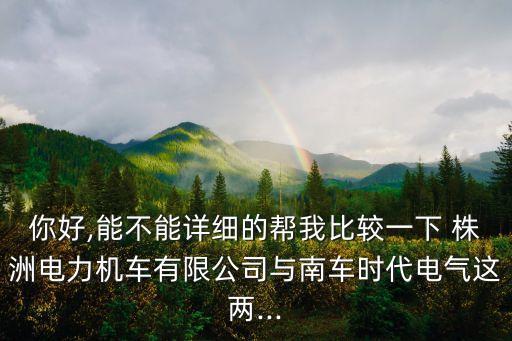 你好,能不能詳細(xì)的幫我比較一下 株洲電力機車有限公司與南車時代電氣這兩...