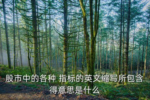 股市中的各種 指標(biāo)的英文縮寫所包含得意思是什么