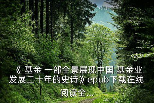 《 基金 一部全景展現(xiàn)中國(guó) 基金業(yè)發(fā)展二十年的史詩》epub下載在線閱讀全...