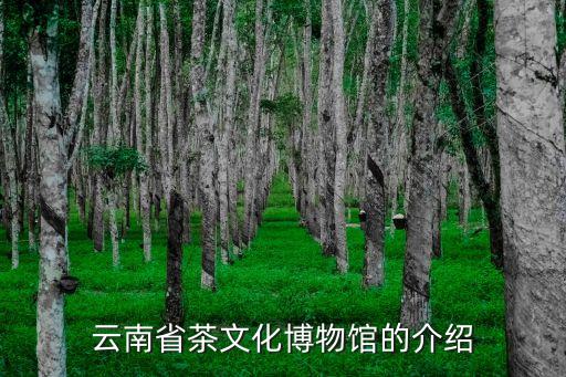 2015米蘭世博會(huì)中國(guó)參展品牌,米蘭世博會(huì)參展國(guó)家