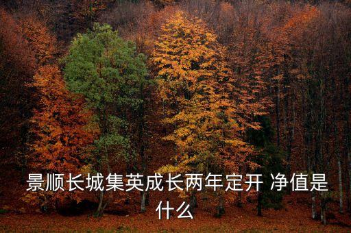  景順長(zhǎng)城集英成長(zhǎng)兩年定開 凈值是什么