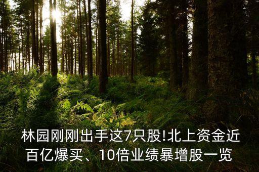  林園剛剛出手這7只股!北上資金近百億爆買、10倍業(yè)績暴增股一覽