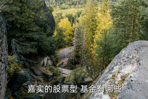 嘉實低碳環(huán)?；饍糁?嘉實環(huán)保低碳基金001616