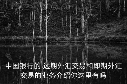 中國銀行的 遠期外匯交易和即期外匯交易的業(yè)務(wù)介紹你這里有嗎