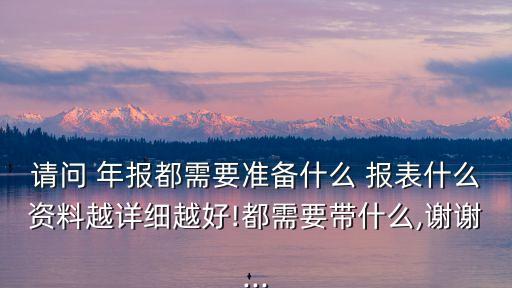 請問 年報都需要準(zhǔn)備什么 報表什么資料越詳細(xì)越好!都需要帶什么,謝謝...