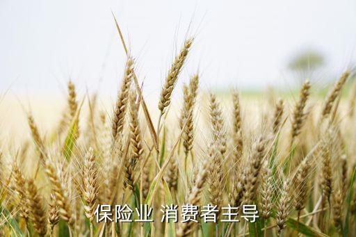 保險業(yè) 消費者主導(dǎo)