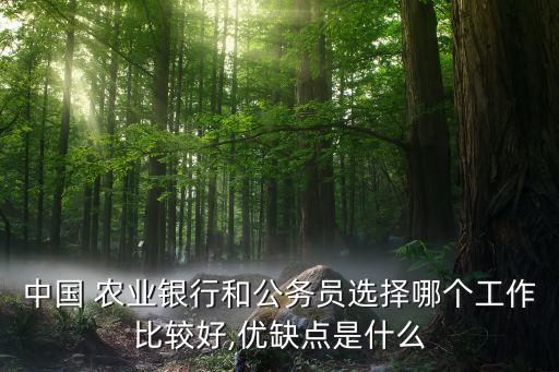 中國 農業(yè)銀行和公務員選擇哪個工作比較好,優(yōu)缺點是什么