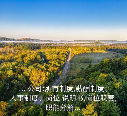 ... 公司:所有制度,薪酬制度、人事制度、崗位 說明書,崗位職責,職能分解...