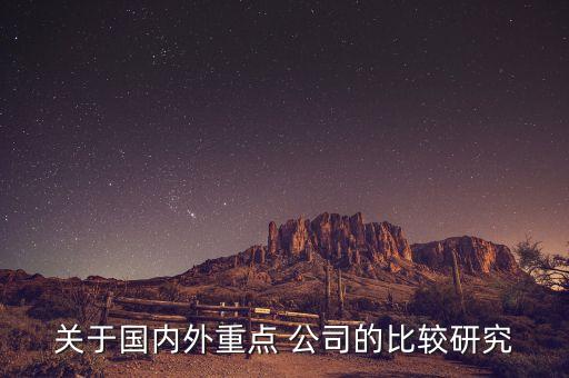 關(guān)于國(guó)內(nèi)外重點(diǎn) 公司的比較研究