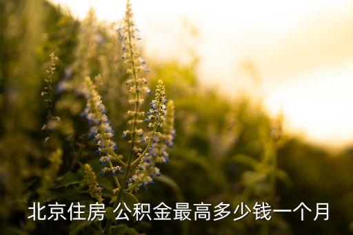  北京住房 公積金最高多少錢(qián)一個(gè)月