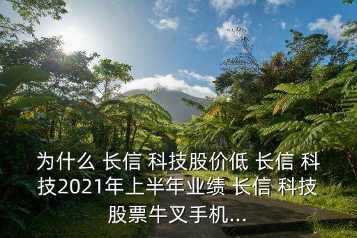 為什么 長信 科技股價低 長信 科技2021年上半年業(yè)績 長信 科技股票牛叉手機(jī)...