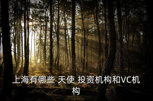 上海有哪些 天使 投資機構和VC機構