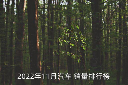 北京現(xiàn)代累計(jì)銷量,2022年北京現(xiàn)代累計(jì)銷量