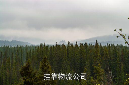 運(yùn)輸掛靠公司的盈利點(diǎn)和營運(yùn)成本