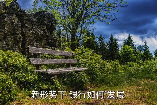 促進銀行發(fā)展的建議,如何促進銀行高質(zhì)量發(fā)展
