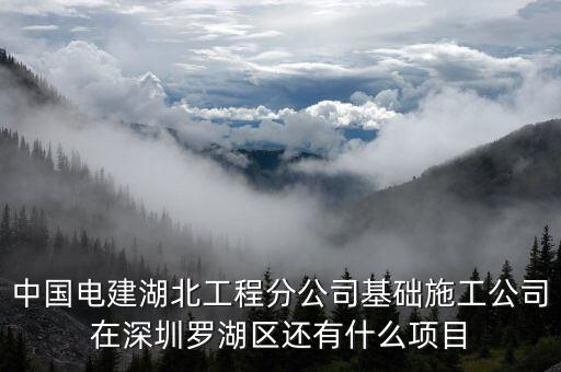 中國電建湖北工程分公司基礎施工公司在深圳羅湖區(qū)還有什么項目