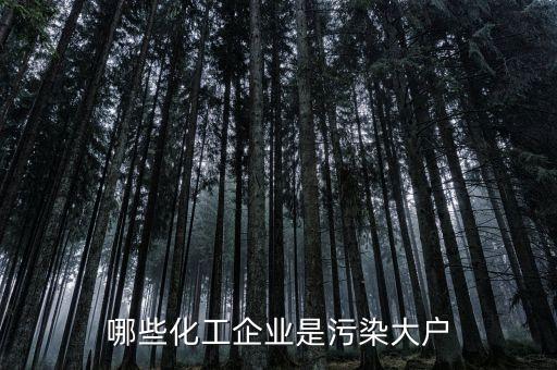 海南正和實業(yè)集團股份有限公司,海南太平洋石油實業(yè)股份有限公司