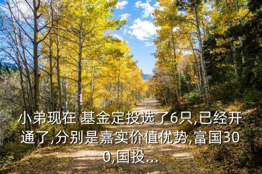 小弟現(xiàn)在 基金定投選了6只,已經(jīng)開通了,分別是嘉實(shí)價值優(yōu)勢,富國300,國投...