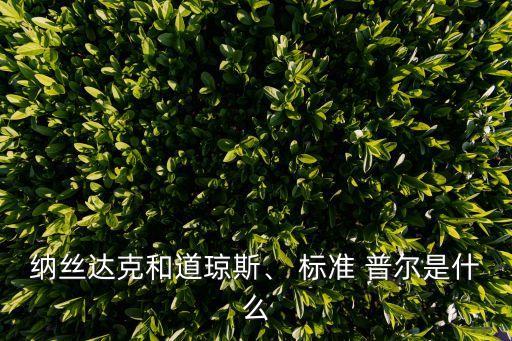納絲達克和道瓊斯、 標準 普爾是什么