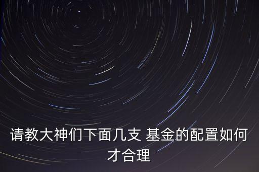 請(qǐng)教大神們下面幾支 基金的配置如何才合理