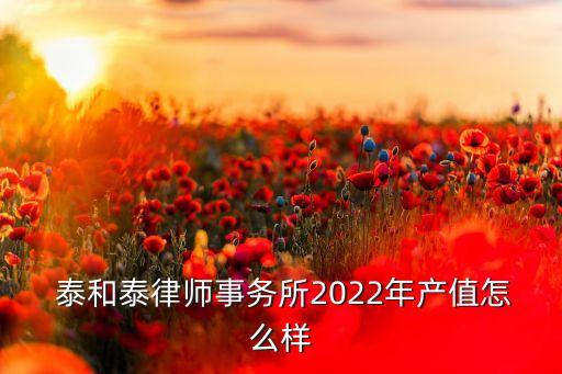  泰和泰律師事務所2022年產(chǎn)值怎么樣