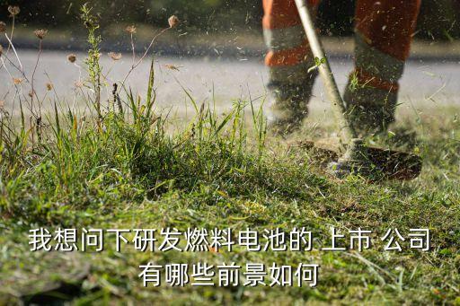 我想問(wèn)下研發(fā)燃料電池的 上市 公司有哪些前景如何