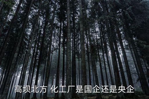 瀘州橫江化工有限公司,瀘州鑫?；び邢薰菊衅?/></a></span><span id=