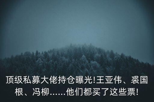 頂級私募大佬持倉曝光!王亞偉、裘國根、馮柳……他們都買了這些票!