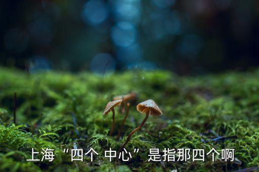  上?！八膫€(gè) 中心”是指那四個(gè)啊