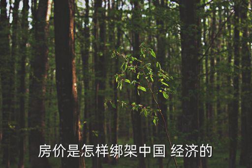 房地產與中國經濟