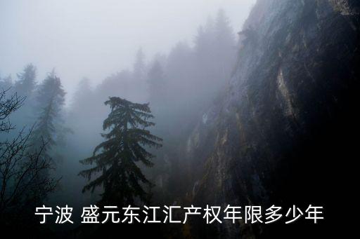 寧波 盛元東江匯產權年限多少年