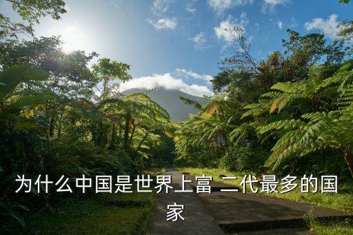 為什么中國是世界上富 二代最多的國家