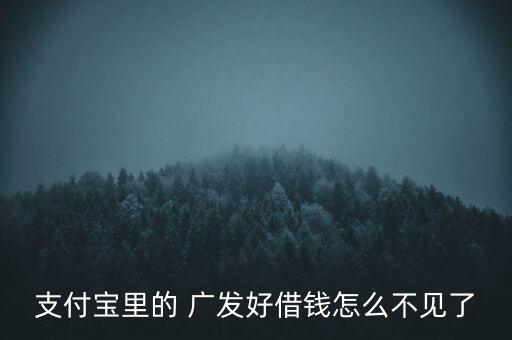 支付寶里的 廣發(fā)好借錢怎么不見(jiàn)了