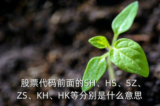  股票代碼前面的SH、HS、SZ、ZS、KH、HK等分別是什么意思