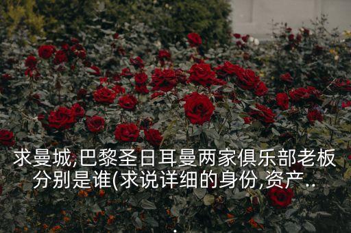 阿布達比投資局風格