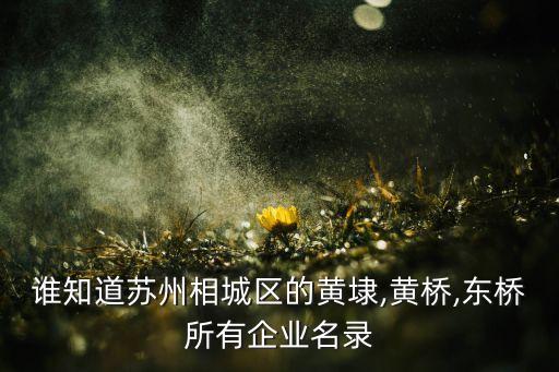 誰(shuí)知道蘇州相城區(qū)的黃埭,黃橋,東橋所有企業(yè)名錄