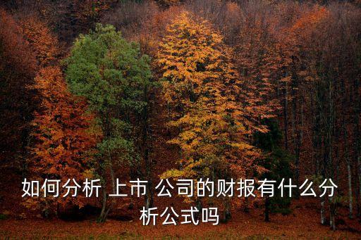 上市公司資產(chǎn)負(fù)債