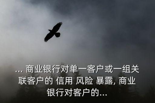 ... 商業(yè)銀行對單一客戶或一組關(guān)聯(lián)客戶的 信用 風(fēng)險 暴露, 商業(yè)銀行對客戶的...