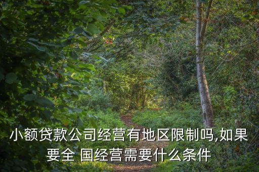 國經(jīng)財智投資擔保,泰安國山投資擔保