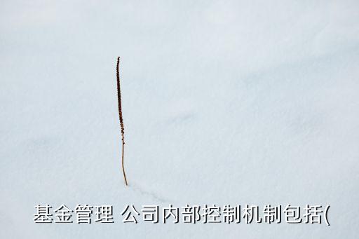  基金管理 公司內部控制機制包括(