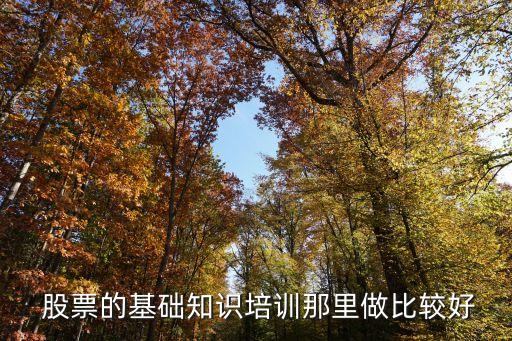  股票的基礎知識培訓那里做比較好