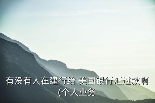 有沒有人在建行給 美國(guó)銀行匯過款啊(個(gè)人業(yè)務(wù)