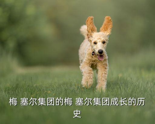 梅 塞爾集團(tuán)的梅 塞爾集團(tuán)成長(zhǎng)的歷史