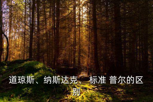 標準普爾公司股票價格指數(shù)
