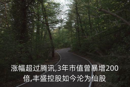 漲幅超過騰訊,3年市值曾暴增200倍,豐盛控股如今淪為仙股