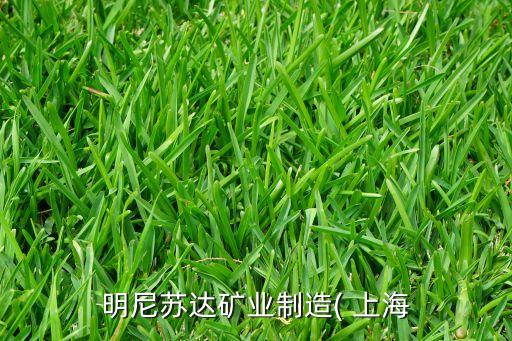 明尼蘇達(dá)礦業(yè)制造( 上海