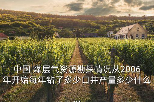 中國(guó) 煤層氣資源勘探情況從2006年開始每年鉆了多少口井產(chǎn)量多少什么...