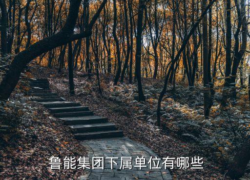 北京魯能物業(yè)服務有限責任公司宜賓分公司