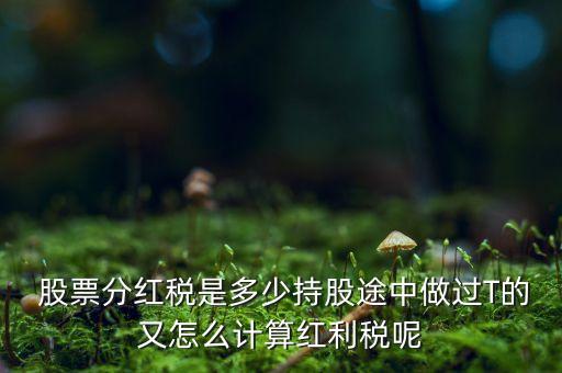  股票分紅稅是多少持股途中做過T的又怎么計算紅利稅呢